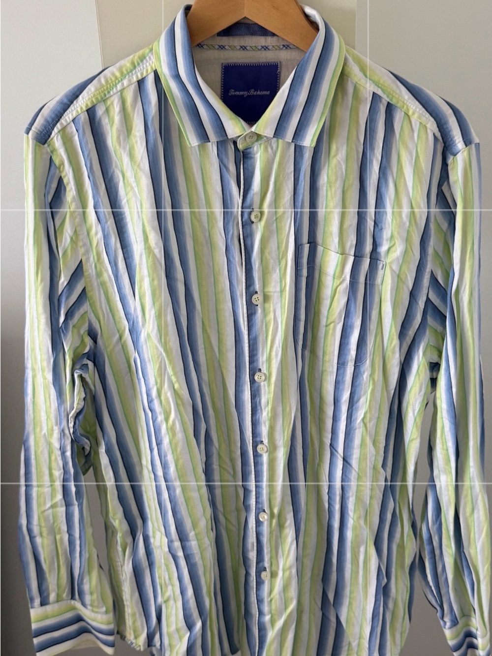 Tommy Bahama Blue and Lime Vertical Stripe Button-Up Shirt Size L